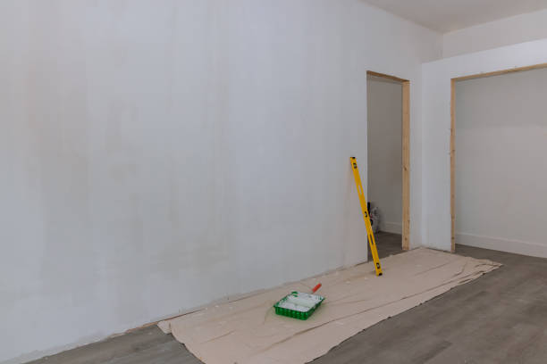 Best Drywall Removal and Disposal  in Coloma, MI